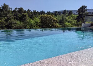 A clear blue pool with a tiled edge, surrounded by lush greenery and trees.