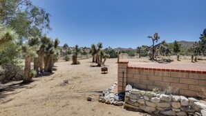 A desert landscape with cacti, a stone wall, and a metal fence. - California Vacation Rental with Hot Tub & Patio! (Yucca Valley)