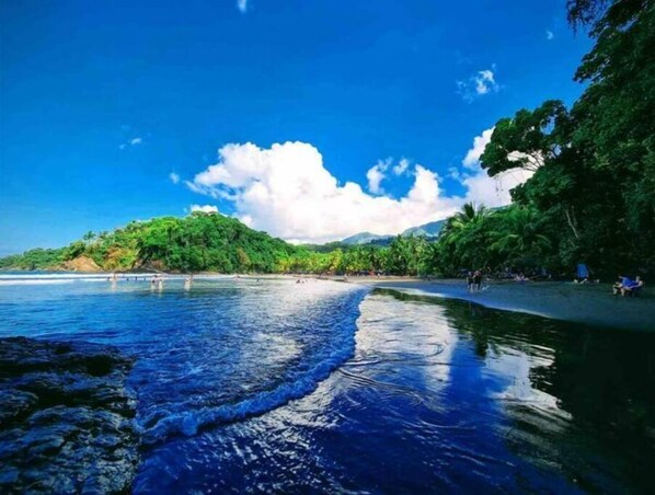 Camastros y toallas de playa 