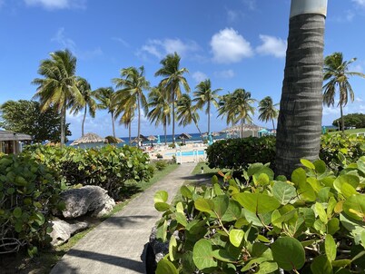 TROPICAL HAVEN