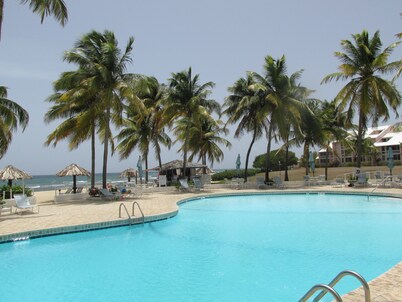 TROPICAL HAVEN