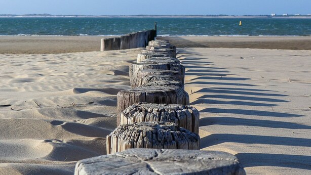 A sandy beach with a row of wooden posts extending into the water. - Holiday Home in Former Barn in Ruinerwold (Ruinerwold)