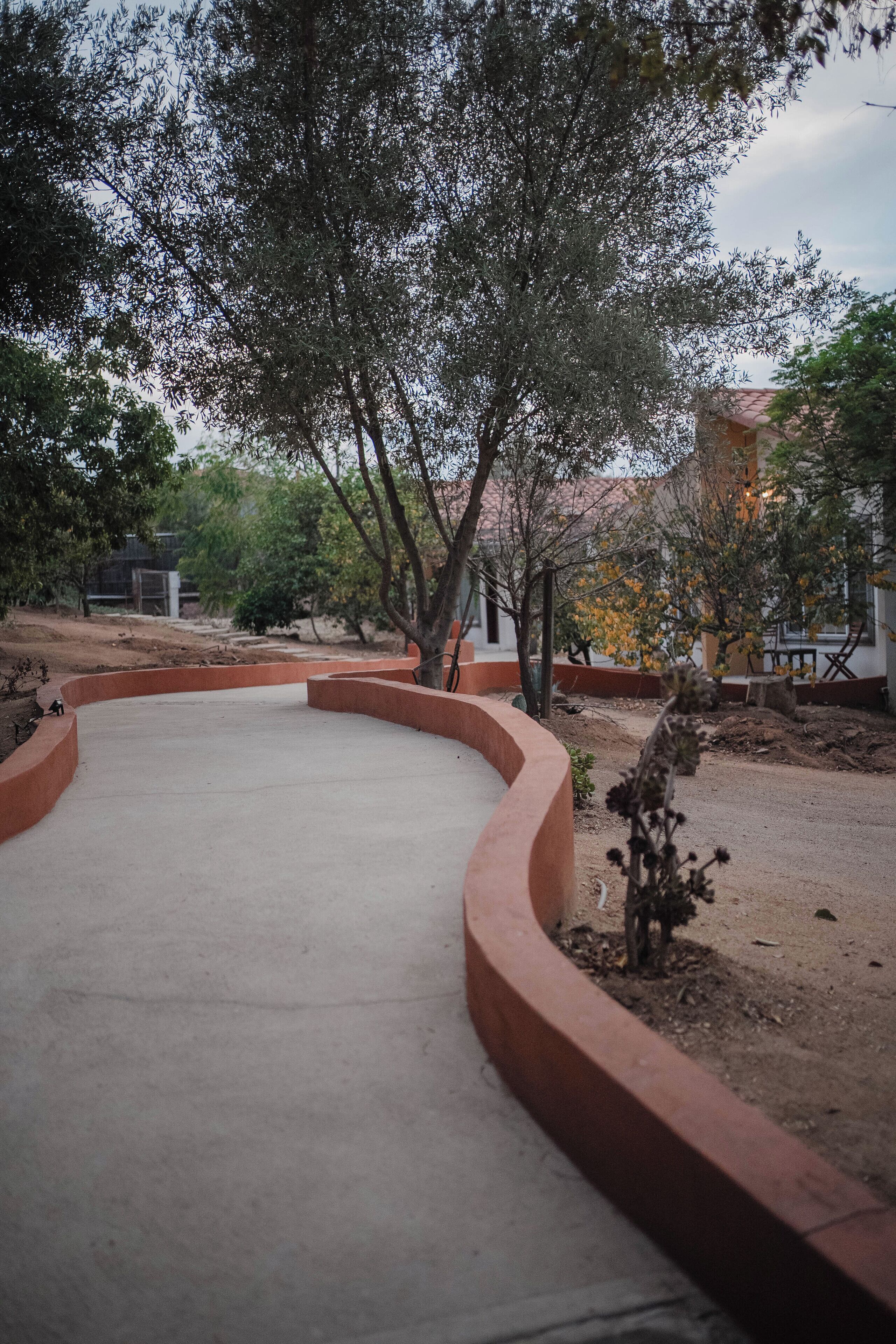 A paved pathway with a curved edge, surrounded by trees and a building with a red-tiled roof.
