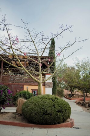 Jardín
