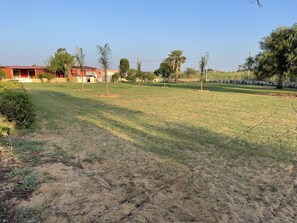 Ein grasbewachsenes Feld mit einem Gebäude im Hintergrund.