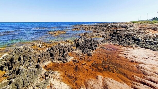 Un rivage rocheux bordé d’une eau d’un bleu limpide, avec une vue lointaine sur les gratte-ciel d’une ville.