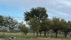 A rural landscape with trees, a gravel road, and a sign indicating a nearby attraction.