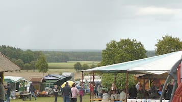 House | View from property