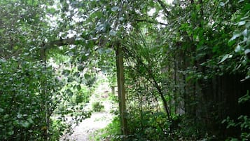 House | View from property