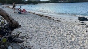 Una playa con agua cristalina, algunas personas y un árbol a la izquierda.