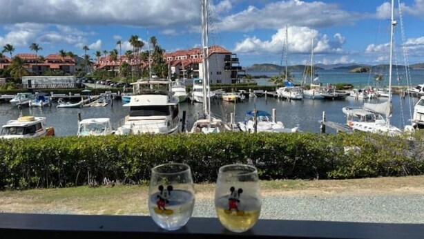 Un puerto deportivo con barcos amarrados, cielo despejado y edificios al fondo.