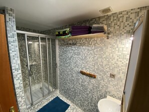Shower, hair dryer, bidet, towels