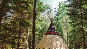 A teepee in a forest with a picnic table nearby. - Sundance Family Tipi (Kananaskis)