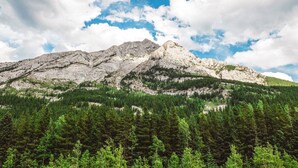 A mountain landscape with a forested foreground and a rocky mountain peak under a partly cloudy sky. - Sundance Family Tipi (Kananaskis)