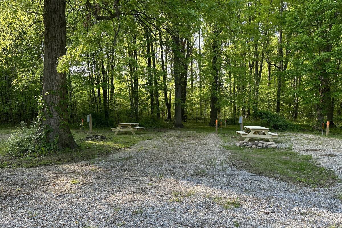 A campground with picnic tables and a gravel path.