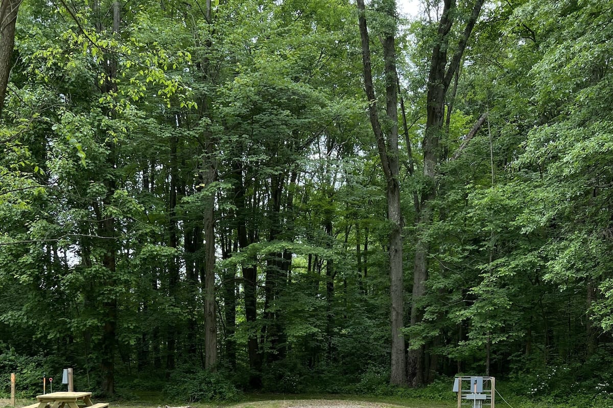 A gravel path leading to a picnic table and a signpost in a wooded area.