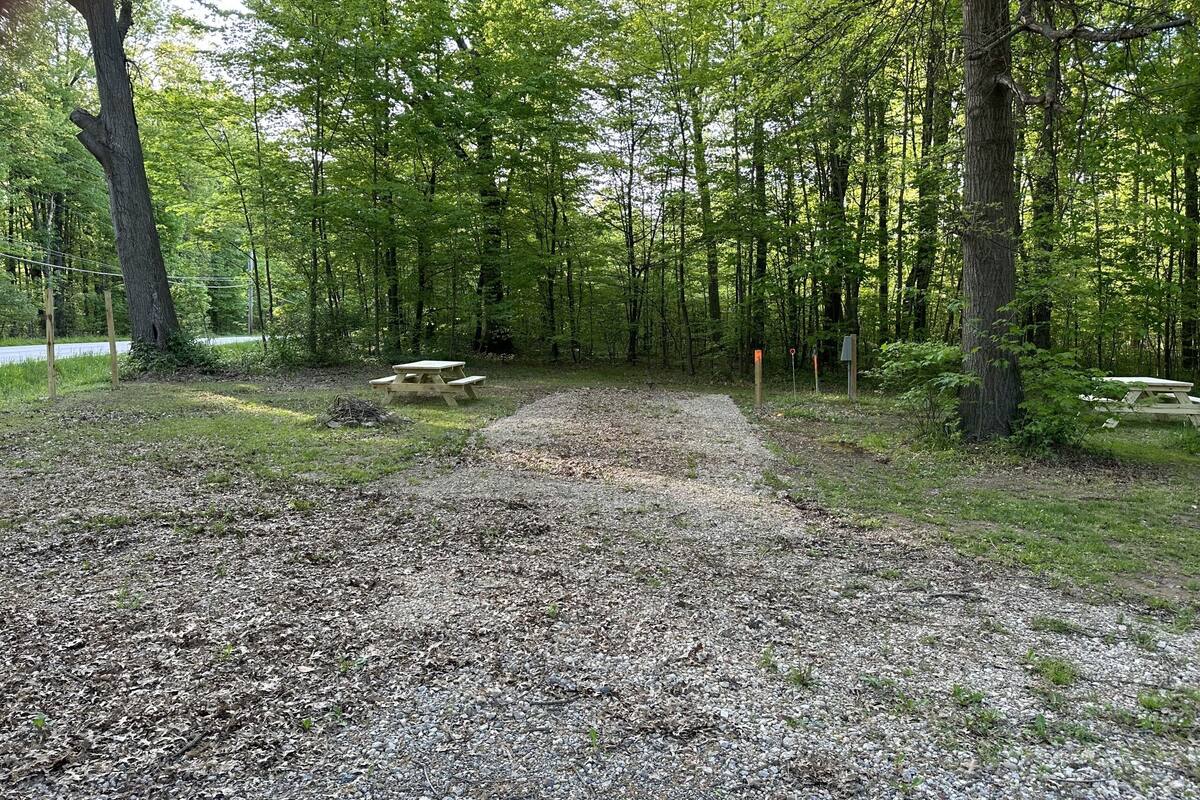 A gravel path leading to a picnic table in a wooded area.