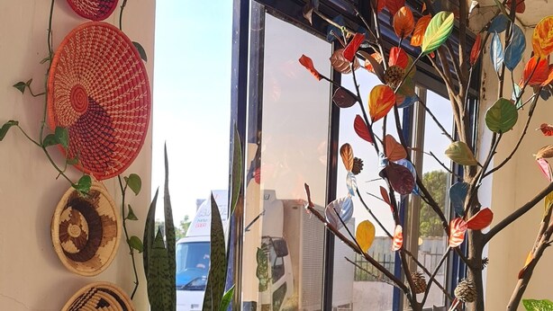 Een kamer met een houten tafel, planten in potten en een raam met uitzicht op gebouwen.