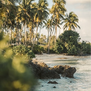 Exterior - Puerto Bianco - Private residence (Copala)