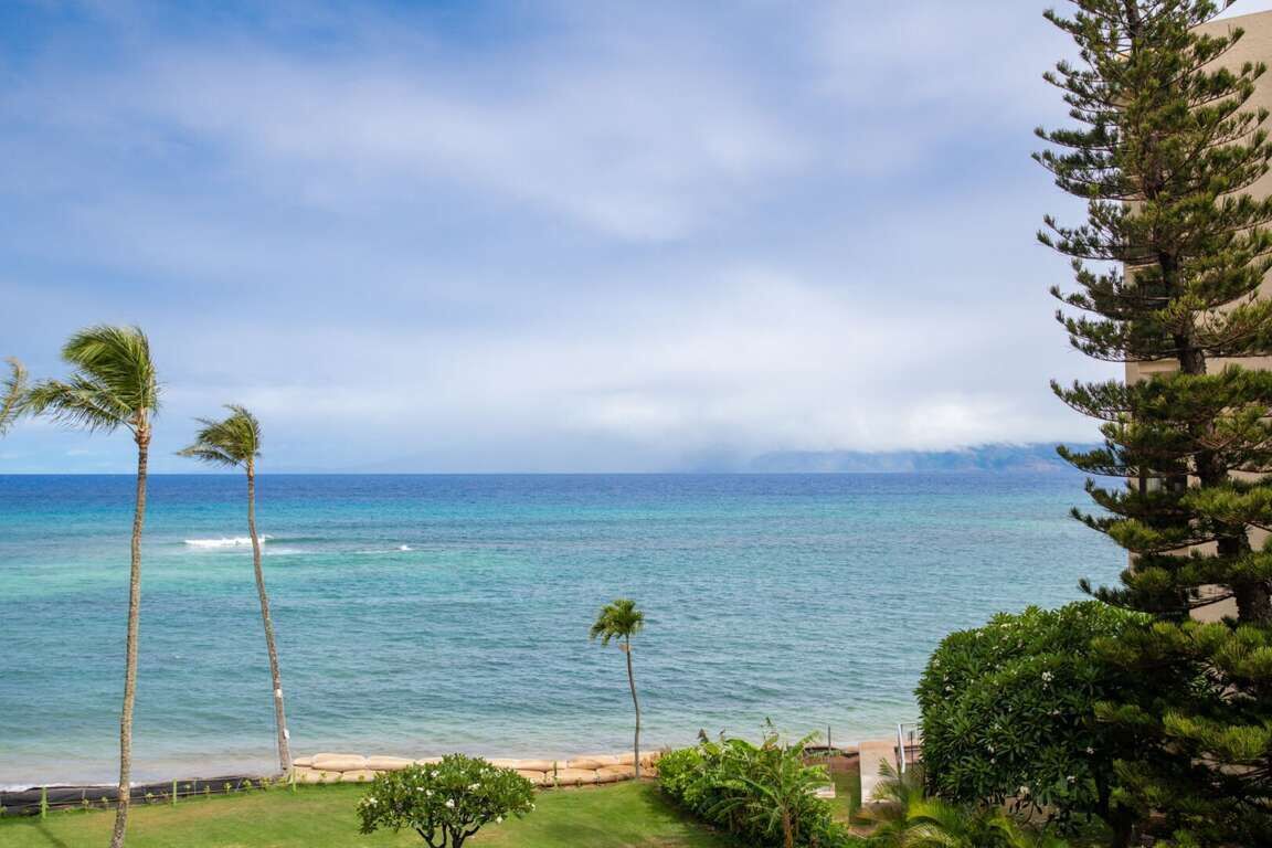 A coastal view with palm trees and a building.