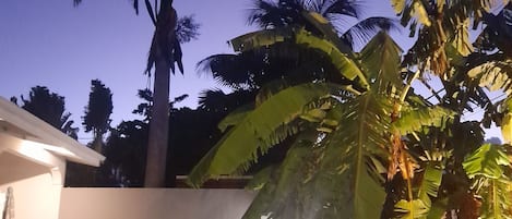 泳池