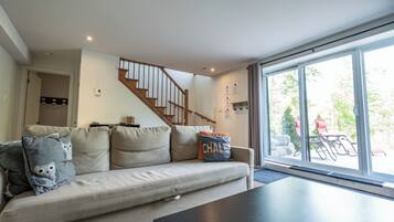 TV, fireplace, DVD player, books