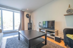 Televisión, chimenea, reproductor de DVD y libros