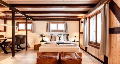 Cozy Apartmentbergpanoramasichtfree Parking