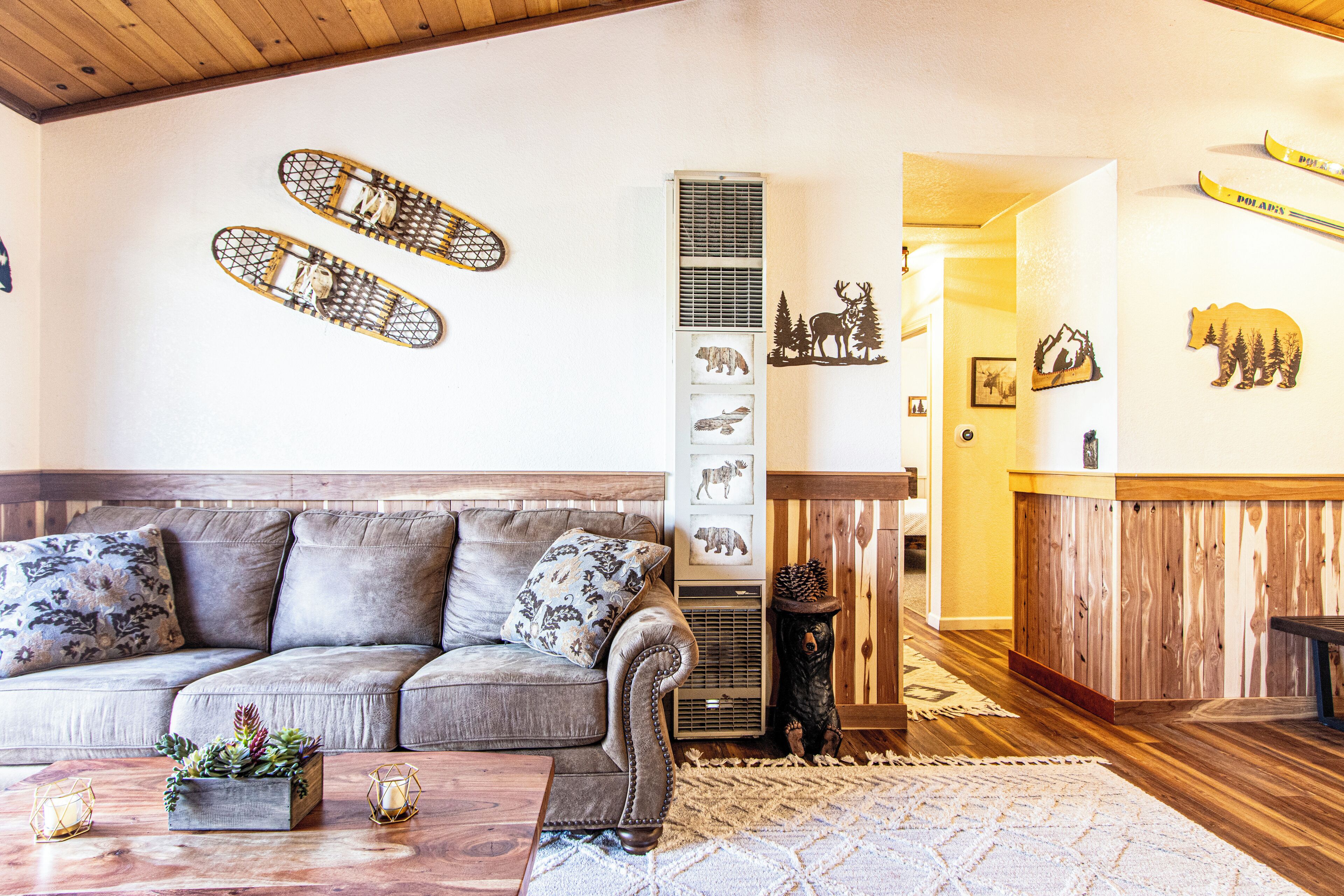 Smart TV, fireplace, video games, books