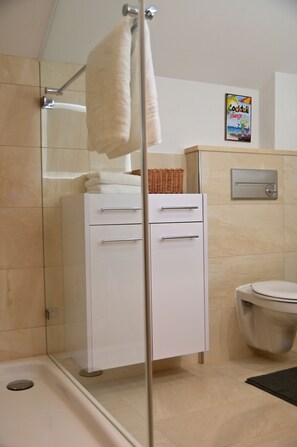 Shower, hair dryer, towels, soap