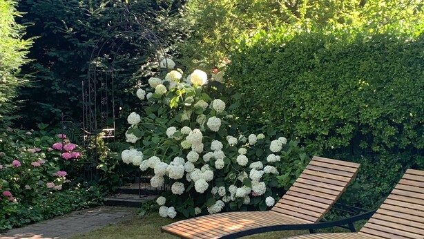 Terrace/patio - Kuschelige Ferienwohnung in Ruhiger Lage, 10 min zu Fuß zum Strand (Langenargen)