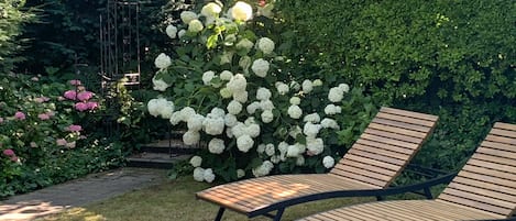 Terassi/patio