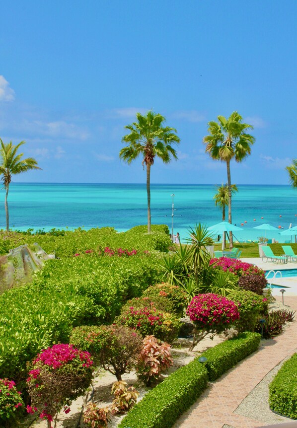 Un resort tropical con zona de piscina, palmeras y vista al océano.