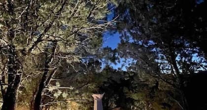 Spacious mountain retreat near Ski Apache and 15 mins from Downtown Ruidoso.