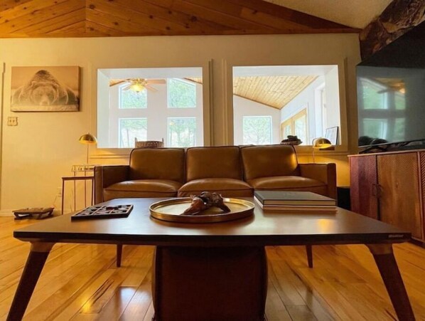 Smart TV, fireplace, video games, DVD player