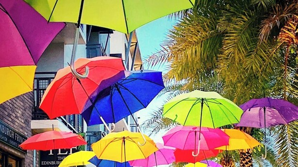 A street with colorful umbrellas hanging overhead, palm trees, and a bench with people sitting. - Chic Cottage Walk to Downtown Dunedin & Waterfront Pets Ok- Barefoot Parrot 3 (Dunedin)