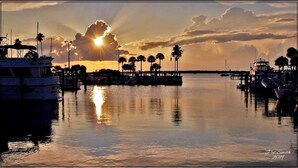 A marina with boats docked, a sunset in the background, and palm trees along the water. - Chic Cottage Walk to Downtown Dunedin & Waterfront Pets Ok- Barefoot Parrot 3 (Dunedin)
