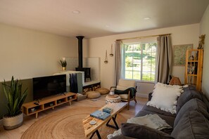 Älytelevisio, takka, kirjoja