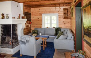 Smart-TV, Kamin