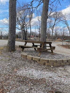 Property grounds - Cabin 1 - Reel and Trigger (Tom Township)