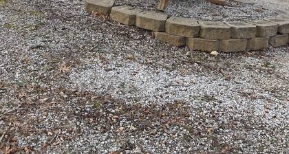 Cabin 1 - Reel and Trigger