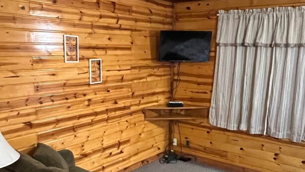 A cozy room with wooden walls, a green sofa, a flat-screen TV, and a window with curtains.