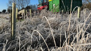 Eine Getreidemähdrescher auf einem Feld mit frostigem Gras.