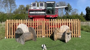 Ein rot und schwarz lackierter Mähdrescher der Marke 'KALEB' steht hinter einem Holzzaun mit zwei großen Holzwielen.