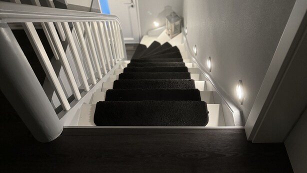A staircase with a handrail, carpeted steps, and a door at the top. - Haus in Ruhiger Lage (Bad Fallingbostel)