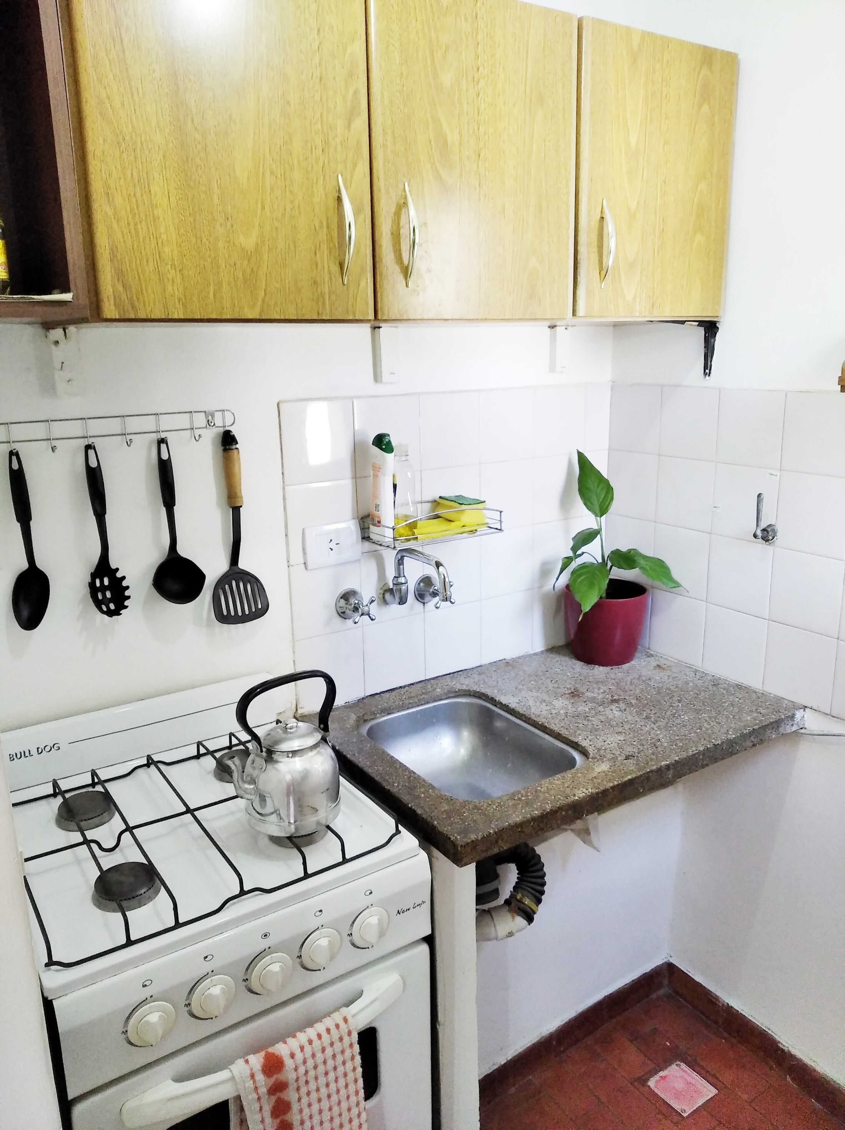 Ovn, kjøkkenutstyr, krydder og kasserolle for krabbe/hummer