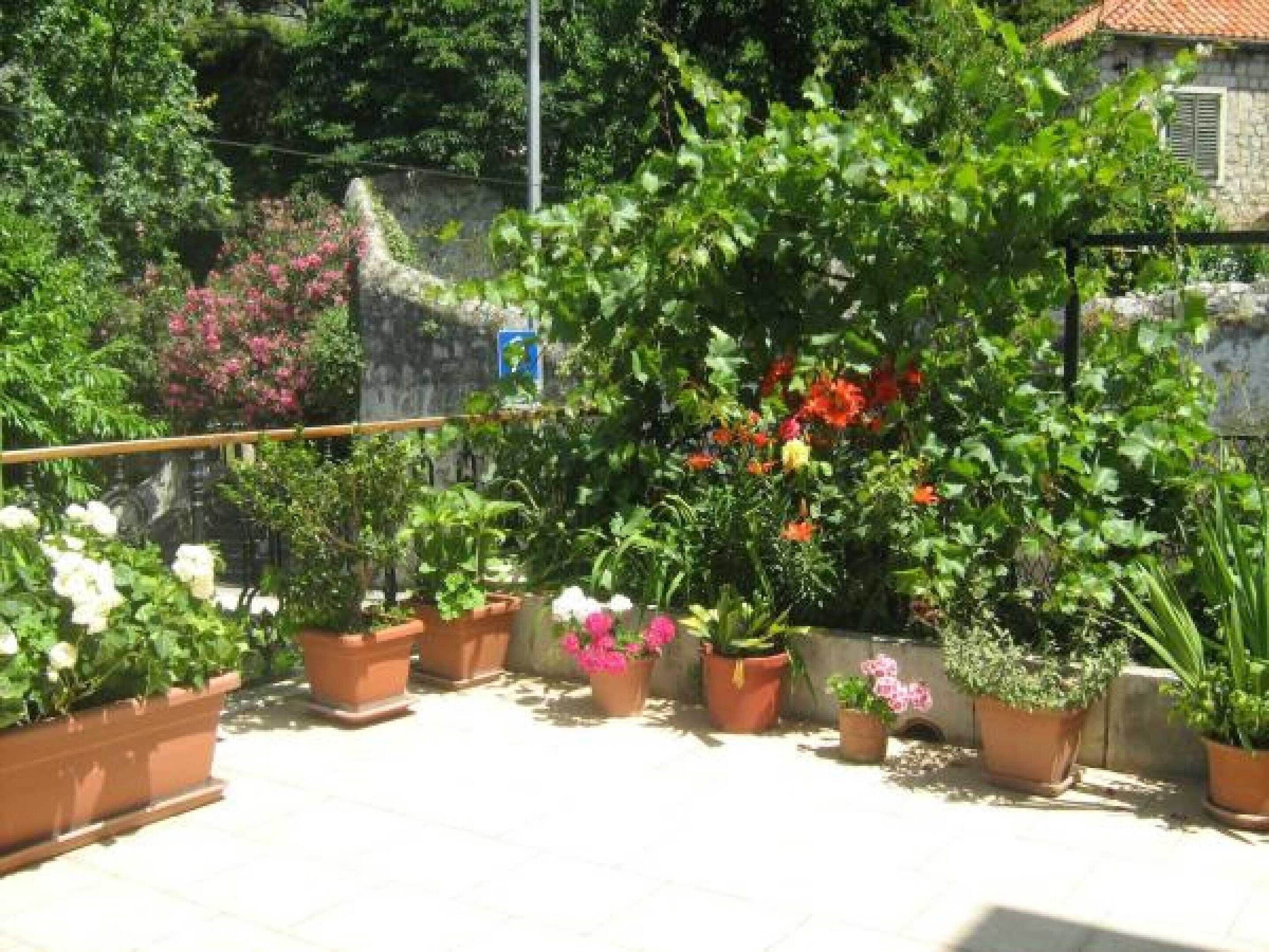 Lejlighed | Overnatningsstedets område