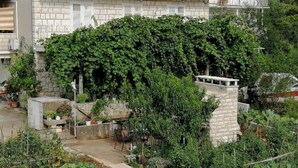 Un giardino con un muro in pietra, piante in vaso e un piccolo angolo relax.