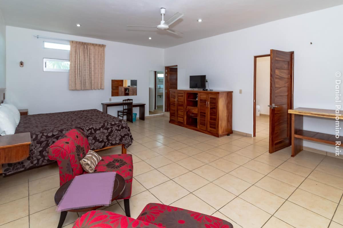 Una habitación de hotel con cama, escritorio, televisor, armario y una silla.