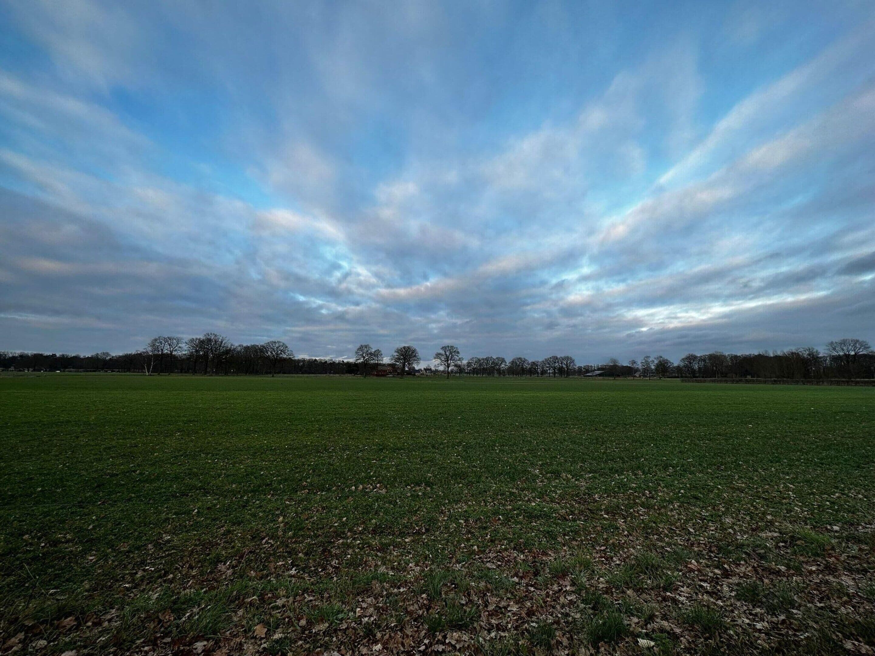Een uitgestrekt, groen grasveld met een heldere lucht erboven.
